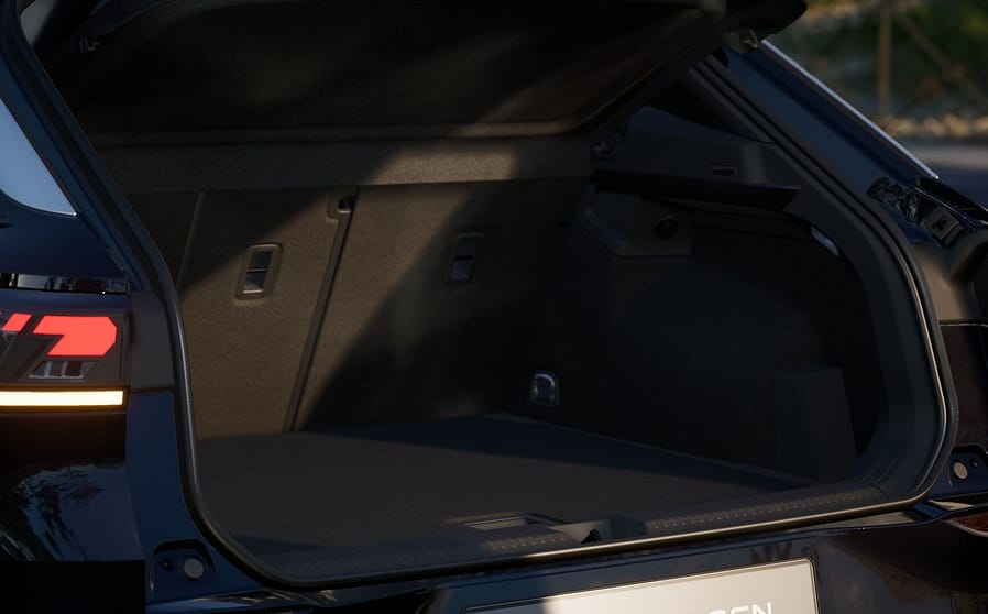 trunk